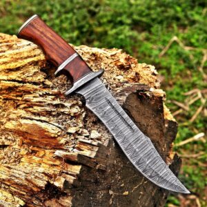 Damascus steel Sub hilt knife with rose wood handle and leather sheath